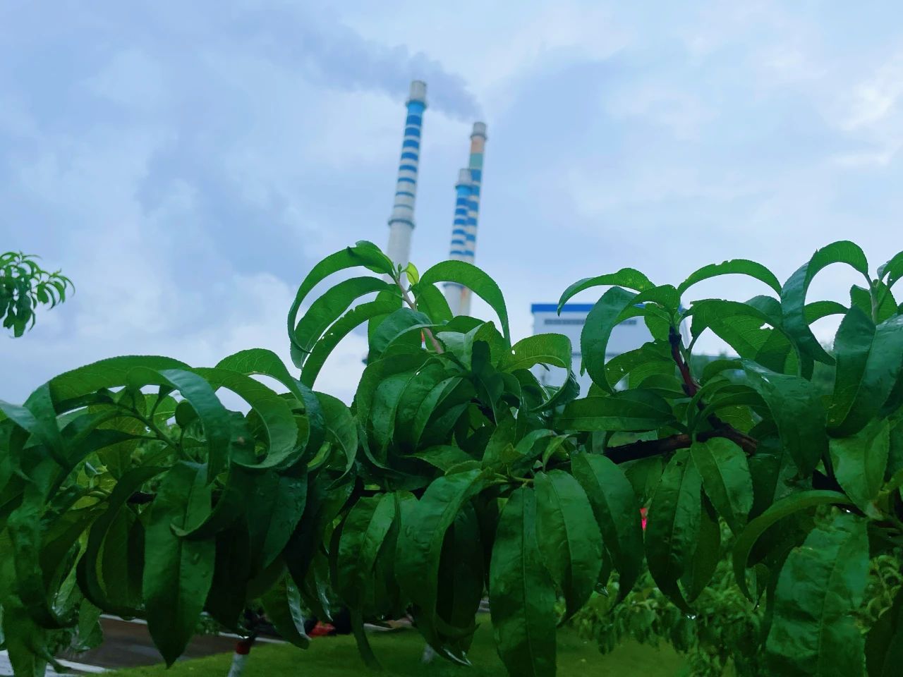 151752545888164917.jpg 微信圖片_20250707081303(1).jpg