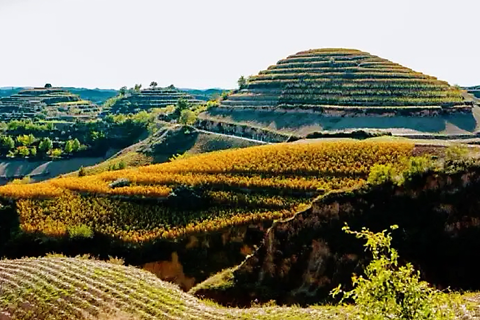 161757992471912466.jpg 68ae4a42-c173-4628-82be-83bc0c99a454.jpg