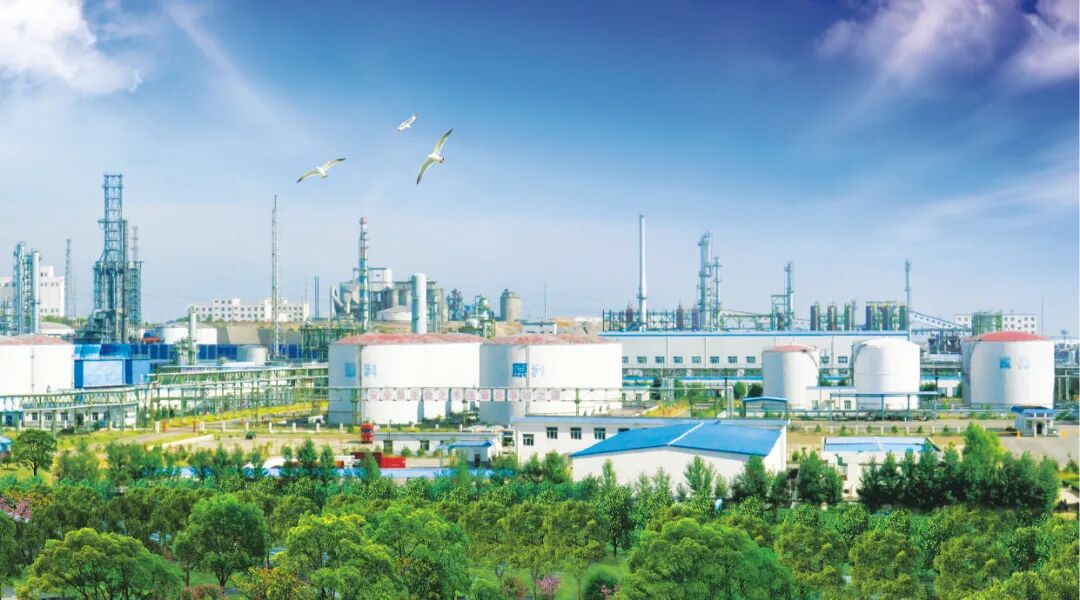 101770684443185393.jpg 22.jpg