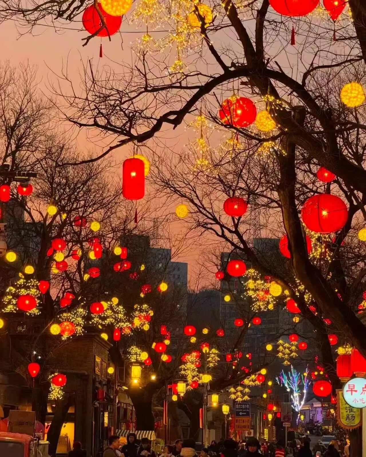 131770972983169242.jpg 微信圖片_2026-02-13_165542_718.jpg